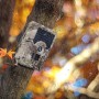 Wildkamera 12MP mit PIR-Sensor & Nachtsicht für sichere Außenbereiche