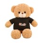 Teddybär Überwachungskamera WLAN HD 1080P mit Bewegungserkennung
