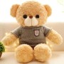 Teddybär Überwachungskamera WLAN HD 1080P mit Bewegungserkennung