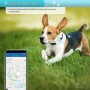 GPS-Tracker Haustier 4G Wasserdicht mit Live-Ortung & Sicherheitsalarm