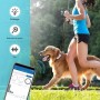 GPS-Tracker Haustier 4G Wasserdicht mit Live-Ortung & Sicherheitsalarm