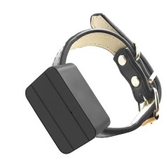 GPS-Halsband Haustier - Echtzeit-Tracking & Schutz bei jedem Wetter