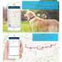 GPS-Halsband für Hunde 4G wasserdicht mit Echtzeit-Ortung & Alarm