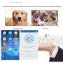 GPS-Halsband für Hunde 4G wasserdicht mit Echtzeit-Ortung & Alarm